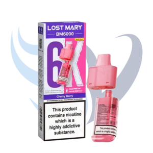 Lost Mary